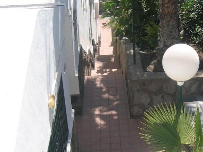 Apartamentos Laguna Puerto Rico  Dış mekan fotoğraf